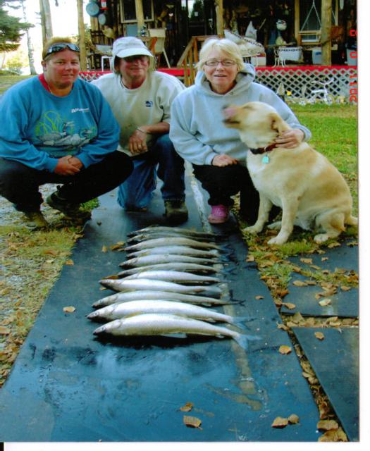 Ontario Walleye Fishing